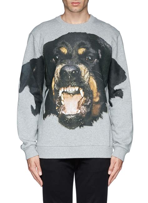 givenchy rottweiler sweater real vs fake|givenchy rottweiler sweatshirt.